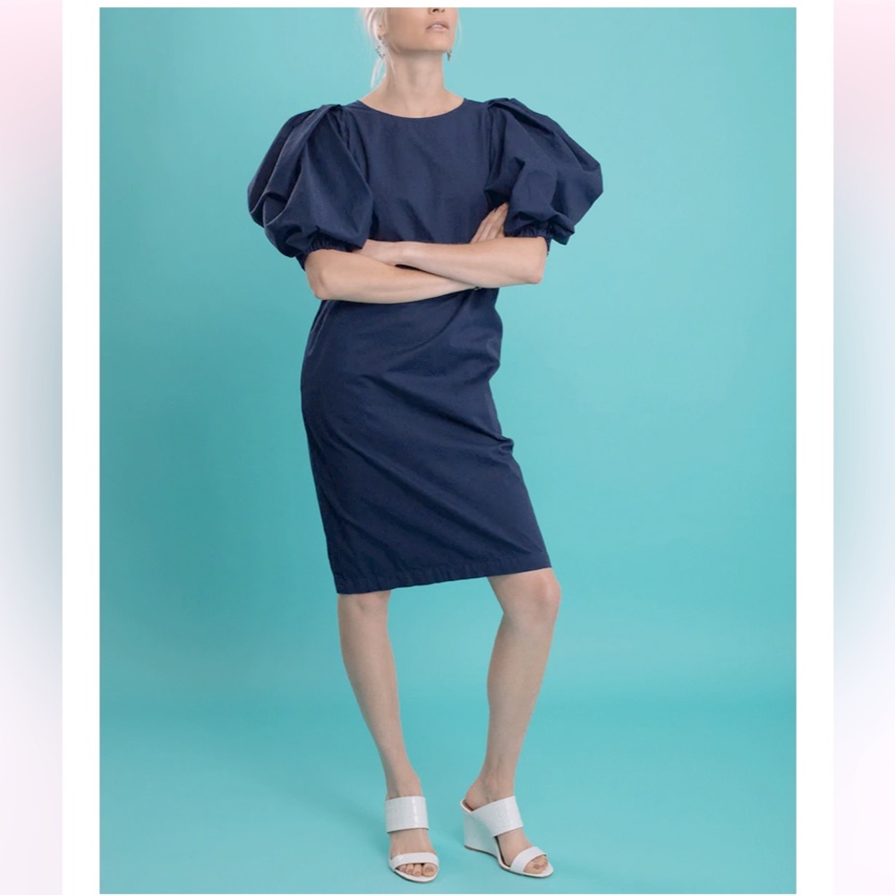 DRIES VAN NOTEN Dali puff sleeve dress size 36